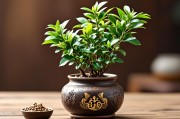 属龙人养什么植物旺财？这几种植物助你财运亨通！