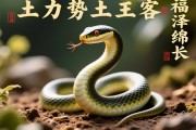 属蛇补土吉祥字推荐，助力运势，福泽绵长