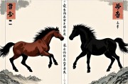 十马九苦还是十马九富？命运与奋斗的双重解读