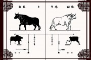 85年属牛办公桌朝向，提升事业运势的风水布局