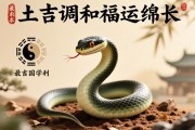 属蛇补土最吉利名字，五行调和，福运绵长