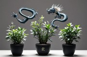 属龙人办公室放什么植物？这几种植物助你事业腾飞！