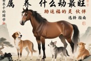 属马养什么动物最旺，助运招福的灵性伙伴选择指南