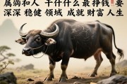 属牛的人干什么最挣钱，深耕稳健领域，成就财富人生