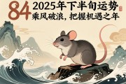 84鼠2025年下半年运势，乘风破浪，把握机遇之年