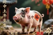 土猪之命，名中藏福，论土猪年生人起名宜用之字