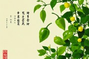 男人梦见青辣椒财运，梦境中的财富预兆解析