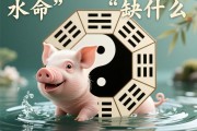 水猪命五行缺什么？解读水猪命格的五行平衡与人生启示