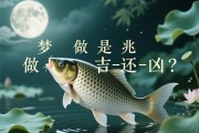 梦见做鱼是吉兆还是凶兆？