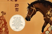 属马者的婚姻状况探析，自由与责任的平衡之道