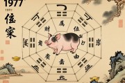 1971年属猪者财位探秘，方位解析与运势提升指南