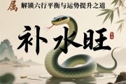 属蛇补水最旺的字，解锁五行平衡与运势提升之道