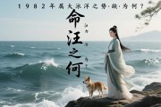 探秘1982年属狗大海水命，汪洋之势，所缺为何？